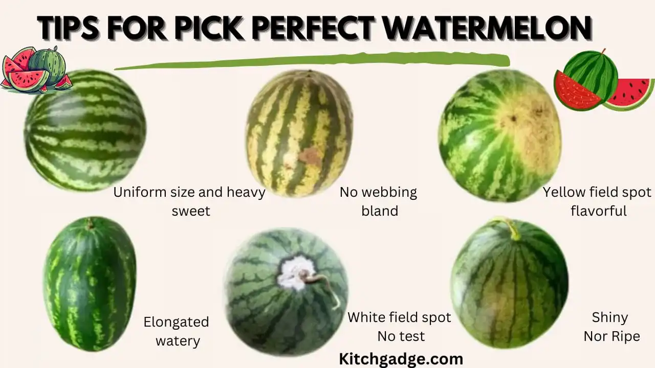 how to choose the perfect watermelon